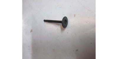 Клапан впускной